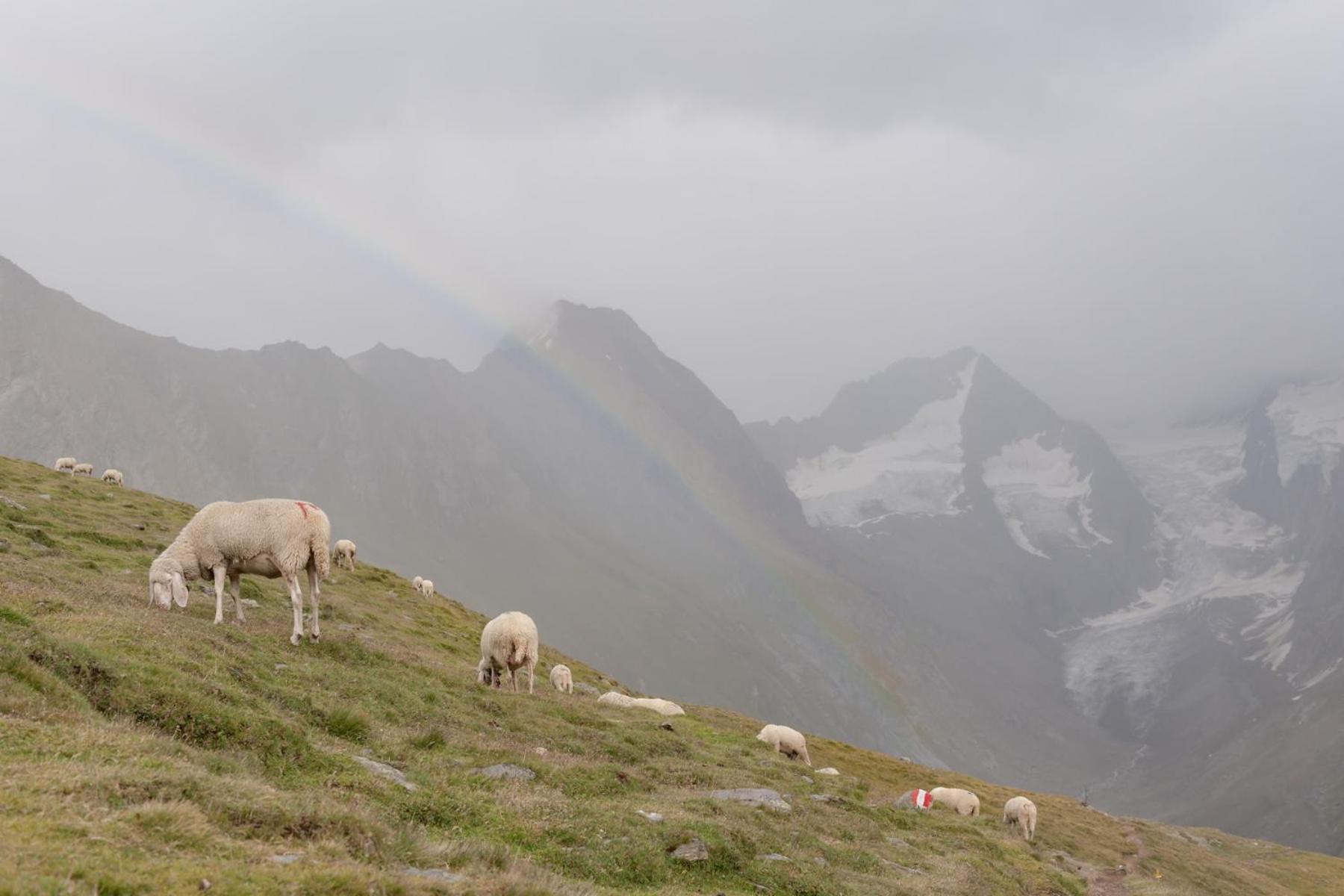 Hotel Olympia Obergurgl Zewnętrze zdjęcie